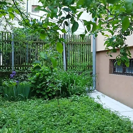 Asyk Apartment